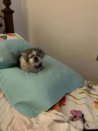 Mitzi