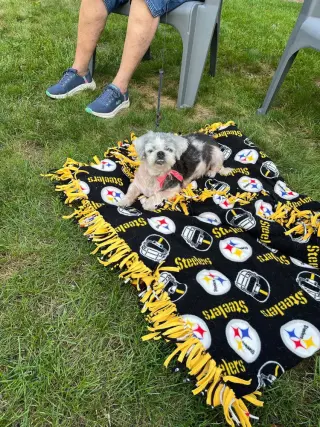 Mitzi