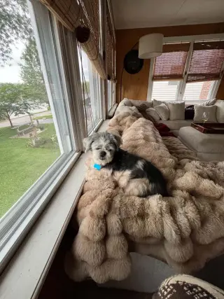 Mitzi