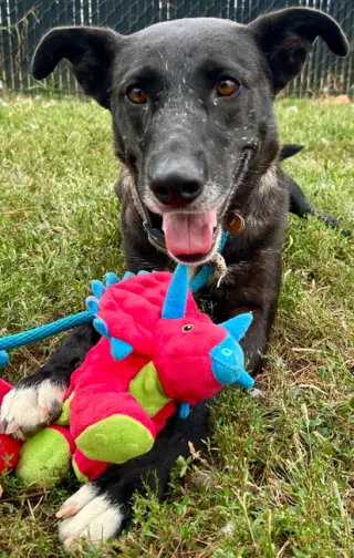 Zaxby