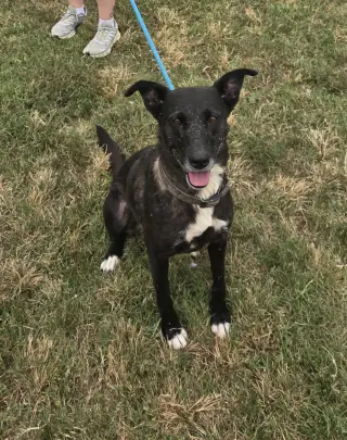 Zaxby