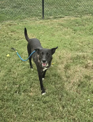 Zaxby