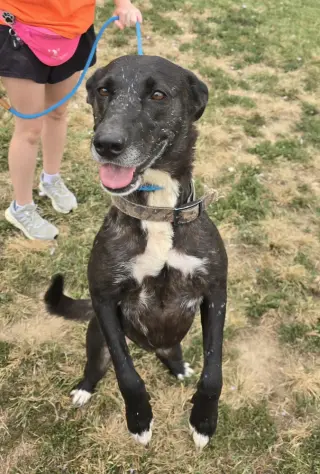 Zaxby