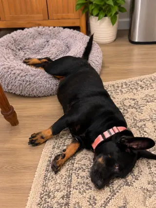 Gabby