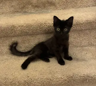 Winky