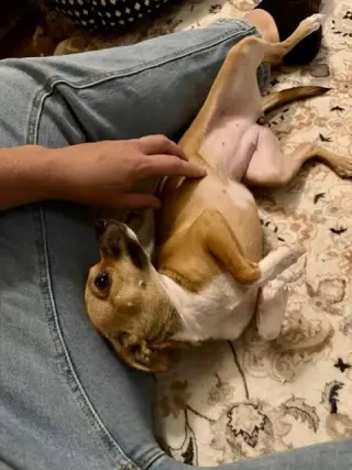 Cinnabon