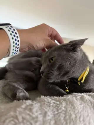 Elsa