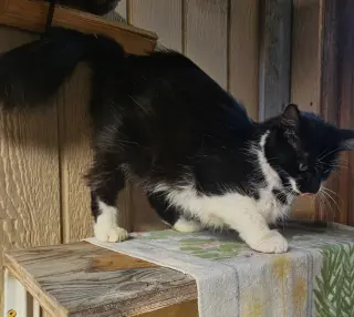 GIDGET #2024 - Offered by Owner -