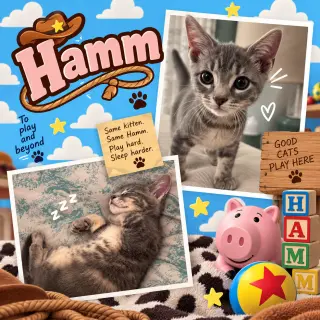 Hamm (FCID# 09/21/2026 - 14 Middletown PS) KDC