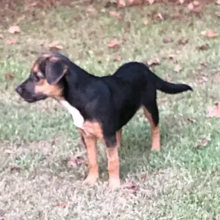 Wilma