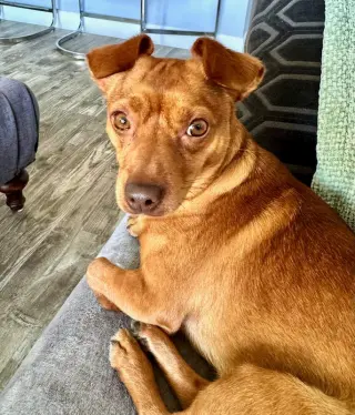 Milo