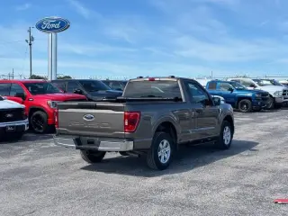 Ford F-150 2022 4x2 XLT 2dr Regular Cab 6.5 ft. SB