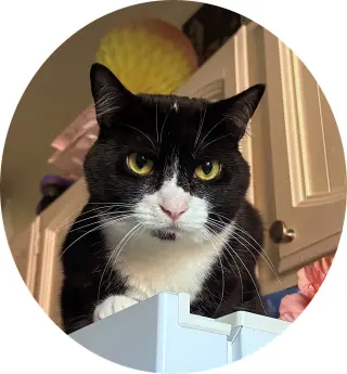 SALT #2023 - Offered by Owner - No cats / Dogs OK