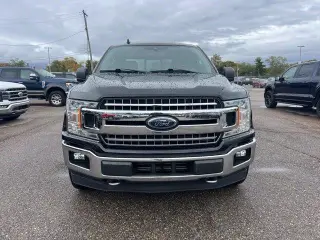 Ford F-150 2020 4x4 XLT 4dr SuperCrew 5.5 ft. SB
