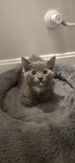 ZoÃ«