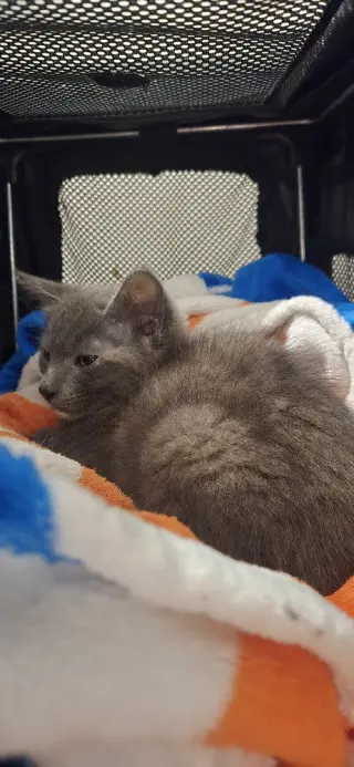 ZoÃ«