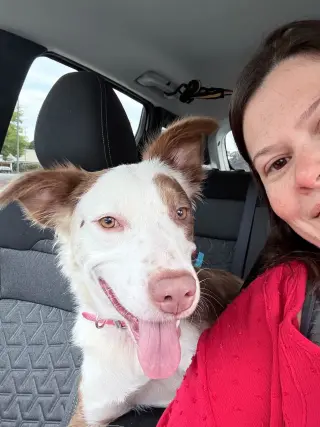 PENELOPE