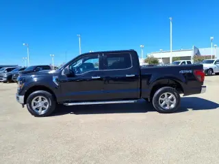 Ford F-150 2025 4x4 XLT 4dr SuperCrew 6.5 ft. SB