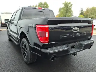 Ford F-150 2023 4x4 XLT 4dr SuperCrew 5.5 ft. SB
