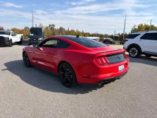 Ford Mustang 2021 EcoBoost 2dr Fastback