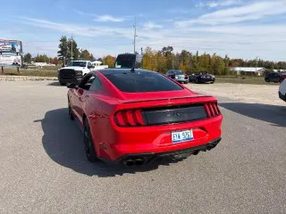 Ford Mustang 2021 EcoBoost 2dr Fastback