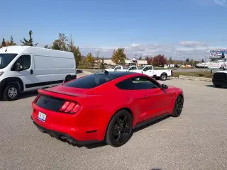 Ford Mustang 2021 EcoBoost 2dr Fastback