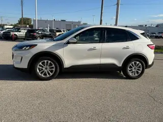 Ford Escape 2020 AWD SE 4dr SUV