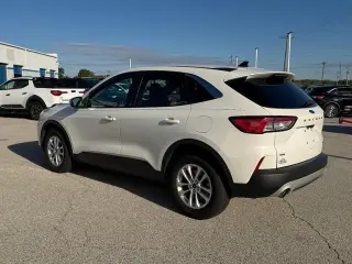 Ford Escape 2020 AWD SE 4dr SUV