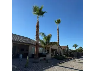 Cuidamos Tu Jardín en Casa Grande, AZ