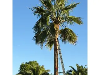 Cuidamos Tu Jardín en Casa Grande, AZ