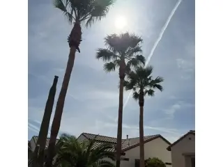 Cuidamos Tu Jardín en Casa Grande, AZ
