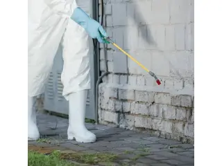 🐜 Control de Plagas en Pacoima