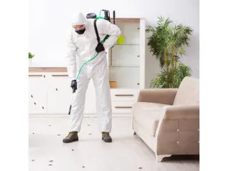 🐜 Control de Plagas en Pacoima