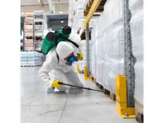 🐜 Control de Plagas en Pacoima