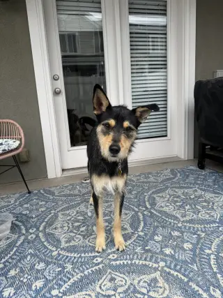 Kev