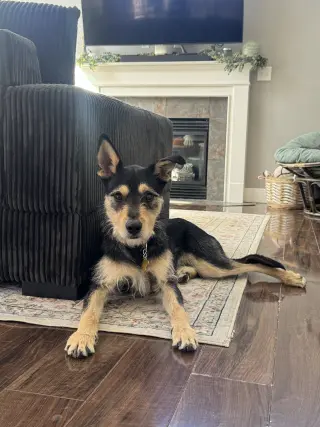 Kev