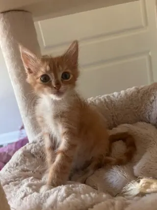 Jerry