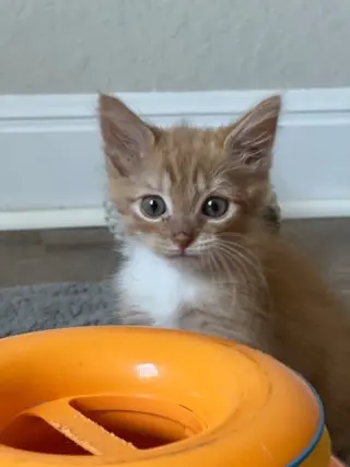 Jerry