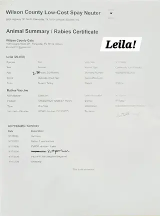 Leila