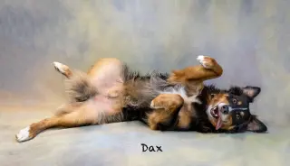 Dax