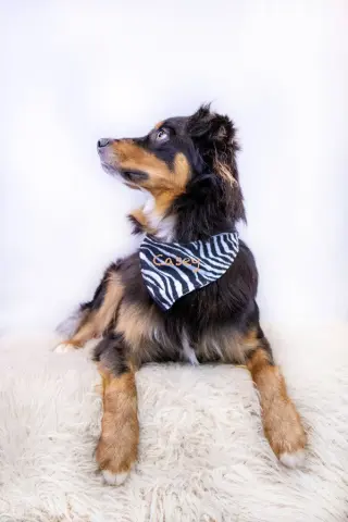 Dax