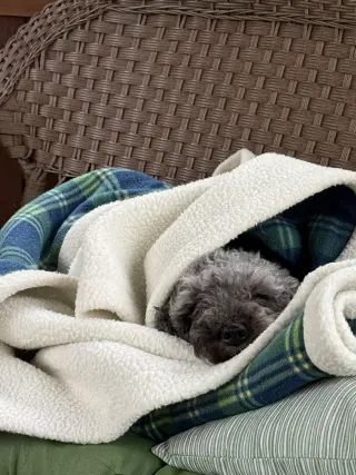 Ella