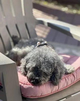 Ella