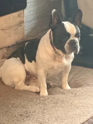 Ellie
