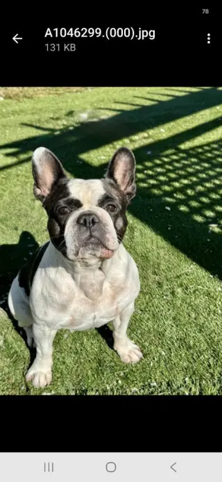 Ellie