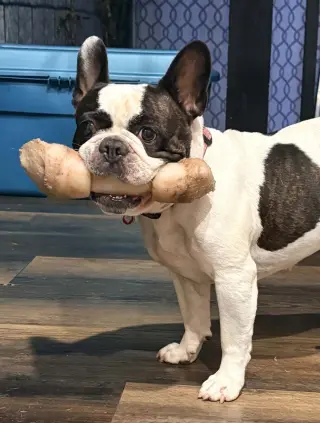 Ellie