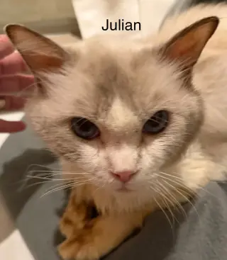 Julian