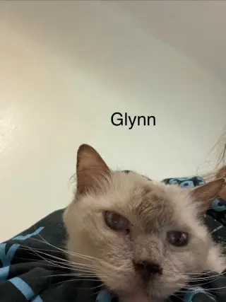 Glynn