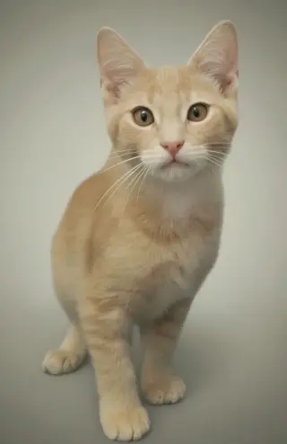 Murray