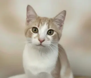 Milton
